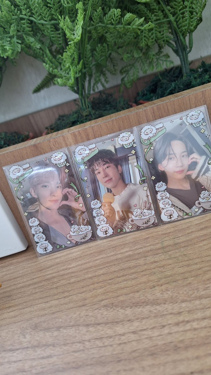 Sweetarians^^ HANDCARRY SEVENTEEN IN CARATLAND tweet media