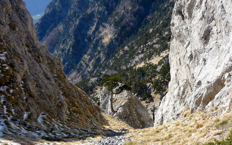 sentieripollino's tweet photo. Gli itinerari per Escursionisti Esperti (EE - difficoltoso) sono percorsi che implicano una capacità di muoversi su terreni particolari a quote relativamente elevate. 

Approfondisci: https://t.co/gGhRAfsNFG

#escursioniperesperti #escursioniguidate #pollinonationalpark https://t.co/nUkRPAZhum