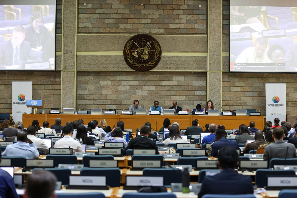 Delegates at #SBI4 continue their work in plenary, addressing the development of the methodology for the second assessment and review of the effectiveness of the Nagoya Protocol on access and benefit-sharing. #biodiversity