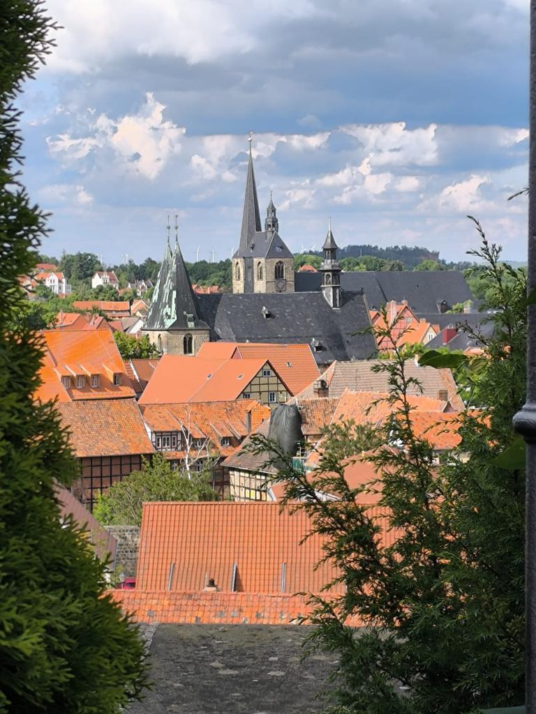 #GutenMorgen in die Runde!
Und liebe Grüße mit einem Blick vom Schlossberg über Quedlinburg. 
Habt noch einen erholsamen Sonntag 🍀☀️.