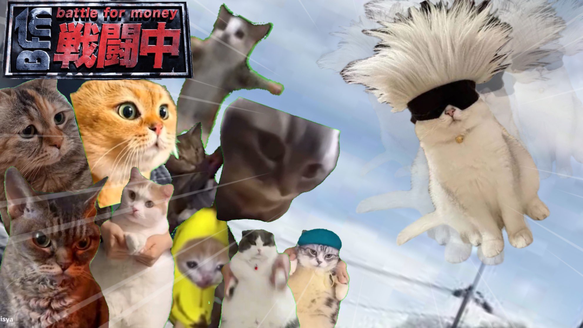 まみむめも🐈 on X: 