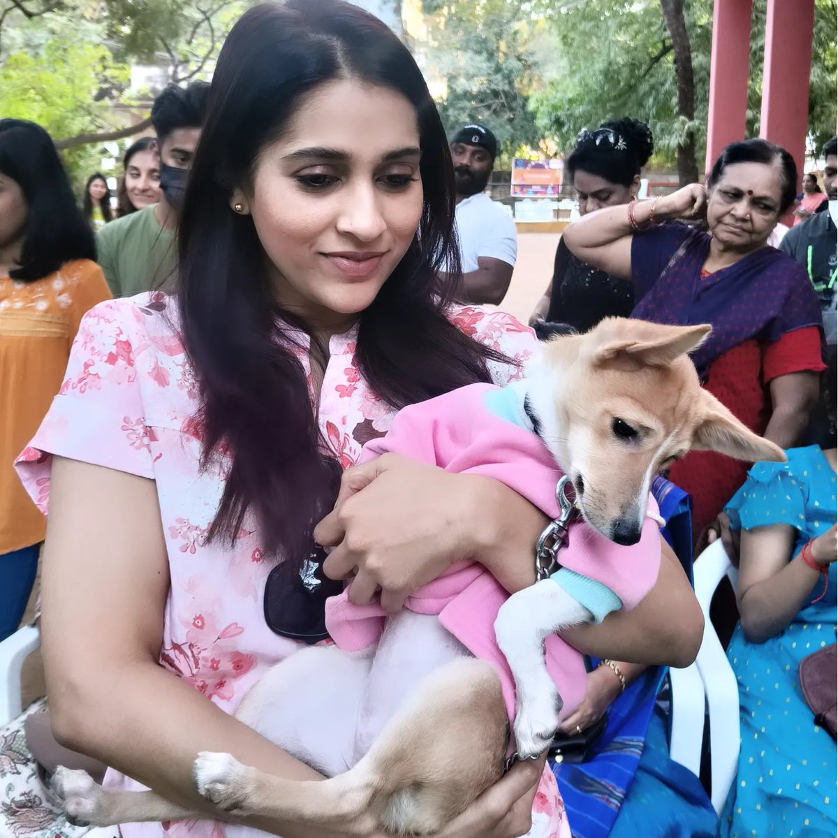 rashmigautam27's tweet photo. My mood
From love to aggression 
I guess this is puppy love
#adoptdontshop #Indies #nomore50 #eachonefeedone https://t.co/eodwxMyxno