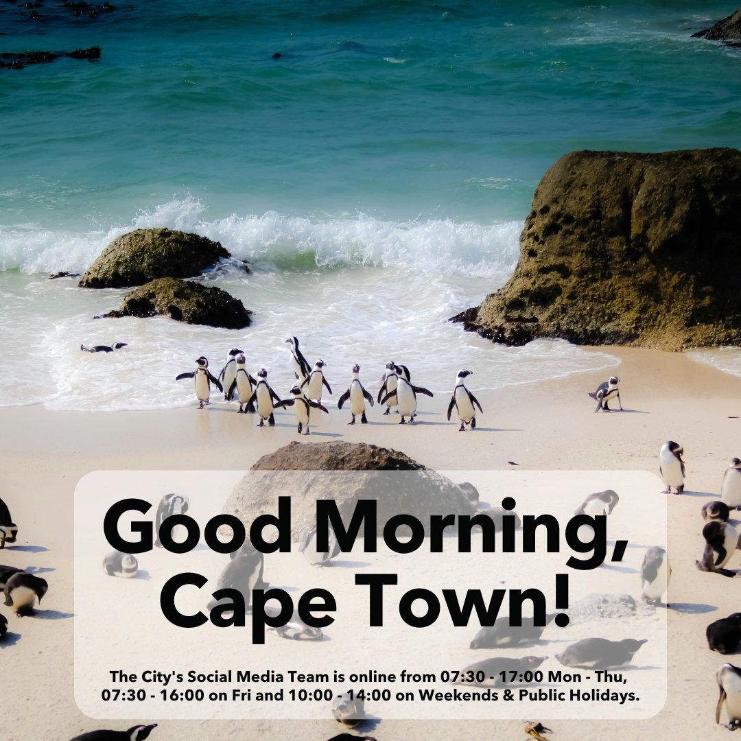 Good morning, Cape Town! The City's Social Media Team is online until 14:00. Let us know how we can help you today.