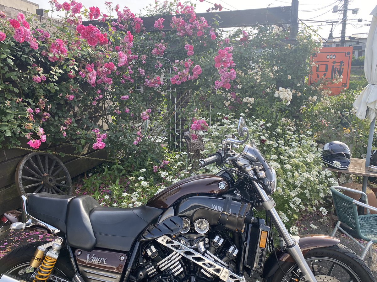 Hmax1310's tweet photo. 本日のナイショっカフェ☕️

#おマメ蔵🤫
#NICESHOT📸
#Vmax1200 https://t.co/zr84fnCGdW