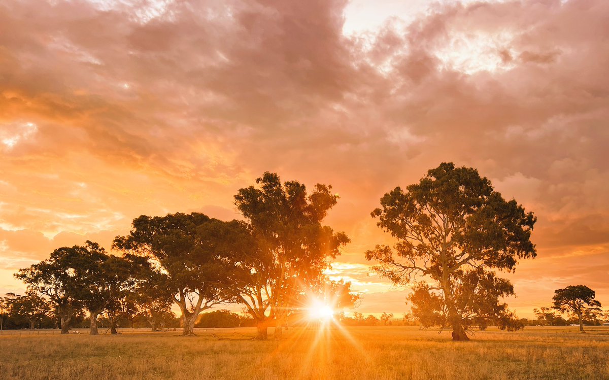 Will it rain this week? …not great farming weather but it sure is nice living weather #ausag