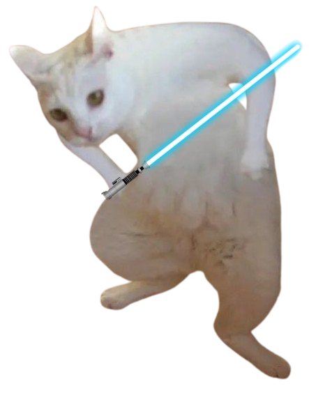 Goofy Cat tweet media