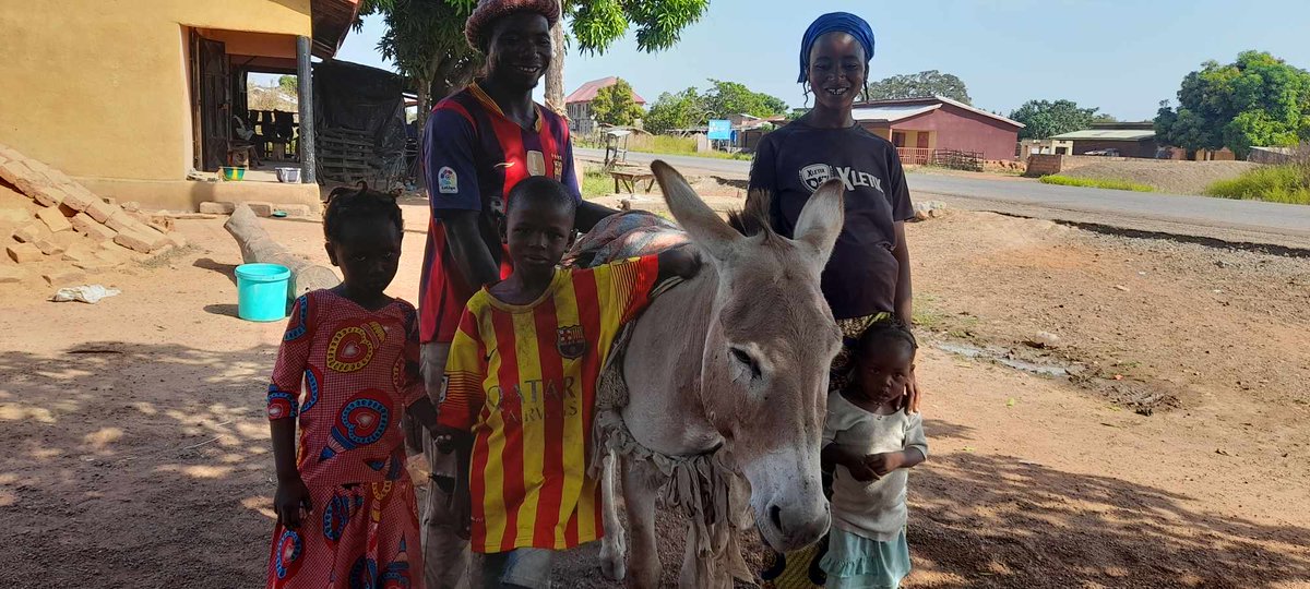 LiberiaAnimal's tweet image. #Workinganimals play critical roles in sustaining lot of families in rural areas in Guinea, but sadly subjected to various forms of abuse. LAWCS helps families to love and value their animals. Families are now proud  and happy to take pictures with their #animals.
#donkeysmatter