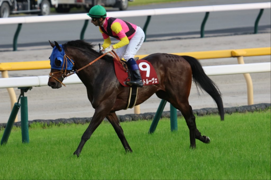 5月26日 東京競馬 第１２レース 目黒記念(ＧII) 優勝馬 9番 シュトルーヴェ 　　　J.モレイラ 騎手