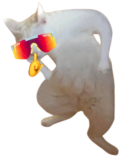 Goofy Cat tweet media