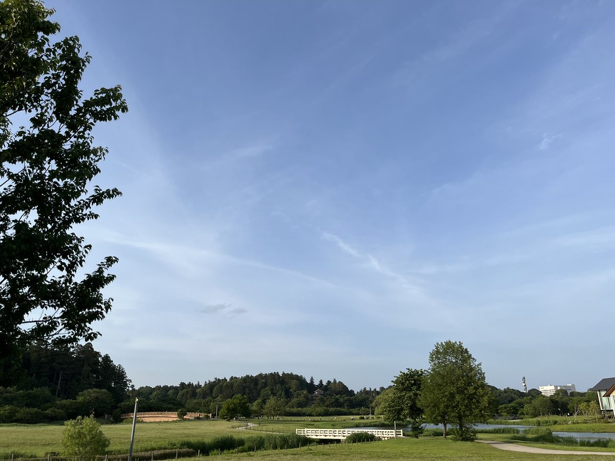 テクテク🚶
夕食前の偕楽園公園

ホントいい季節😃