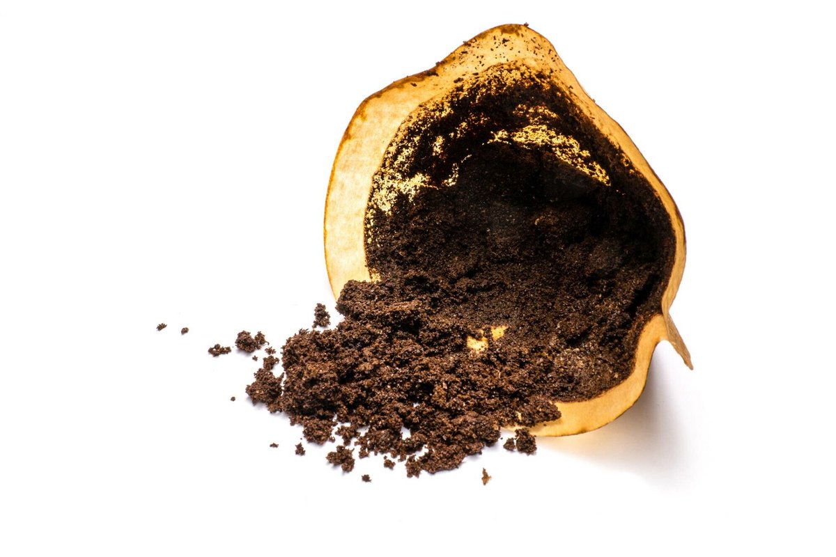 ANTI GASPI. Comment réutiliser vraiment votre marc de café? Un scientifique démêle le vrai du faux ➡️ l.nicematin.com/Aao