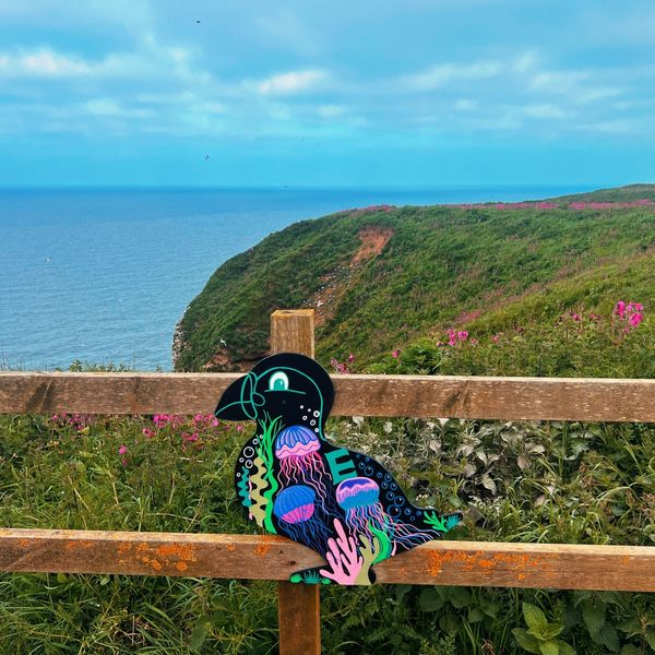 Celebrate the beginning of half term by coming to visit us with the whole family! We have a Puffin self-led trail and backpacks to hire that will be sure to keep the little ones entertained. 🍃🍄🔎 - £3