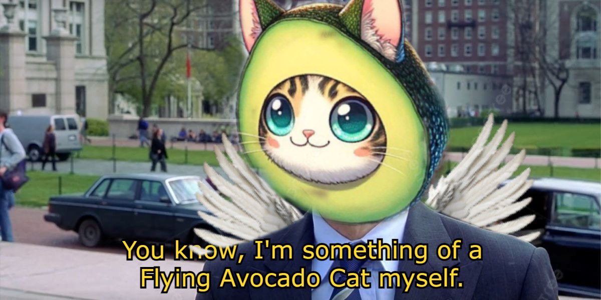 @sang89vh #FlyingAvocadoCat
🪽🥑😺