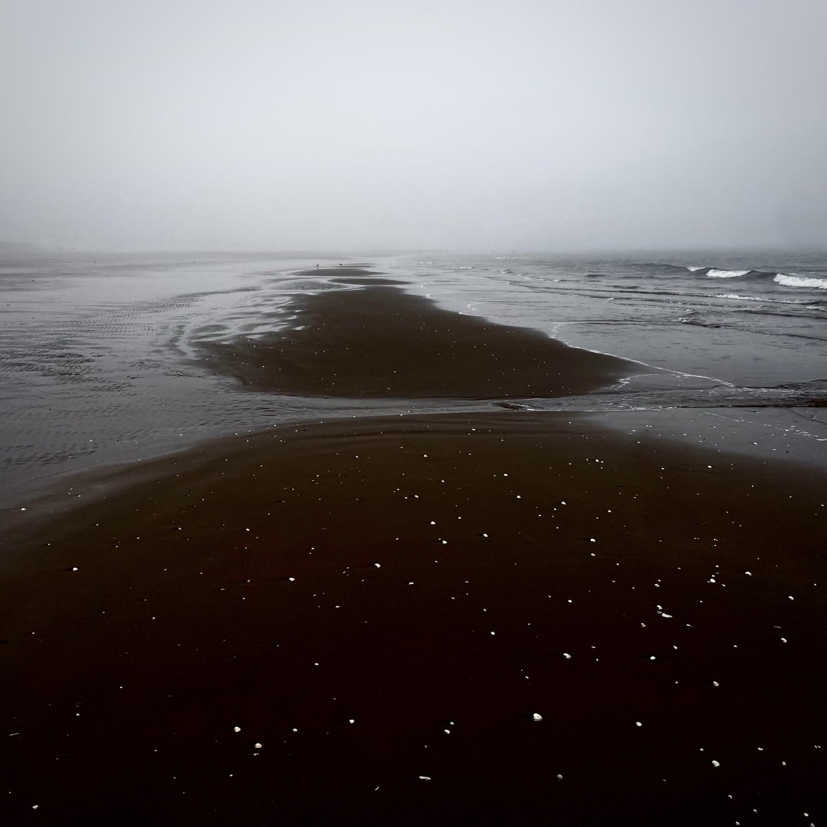 Sunday morning vibes from the insular peninsula. 😉