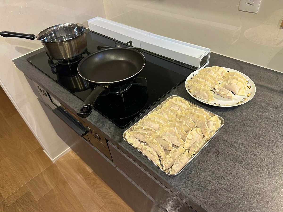 EnergyKinetic's tweet photo. ギョギョッギョ、ギョーザ🥟 https://t.co/3csEmRNQH9
