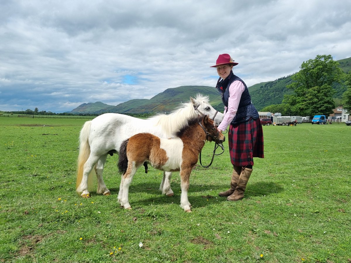 Lynsey Thomson tweet media