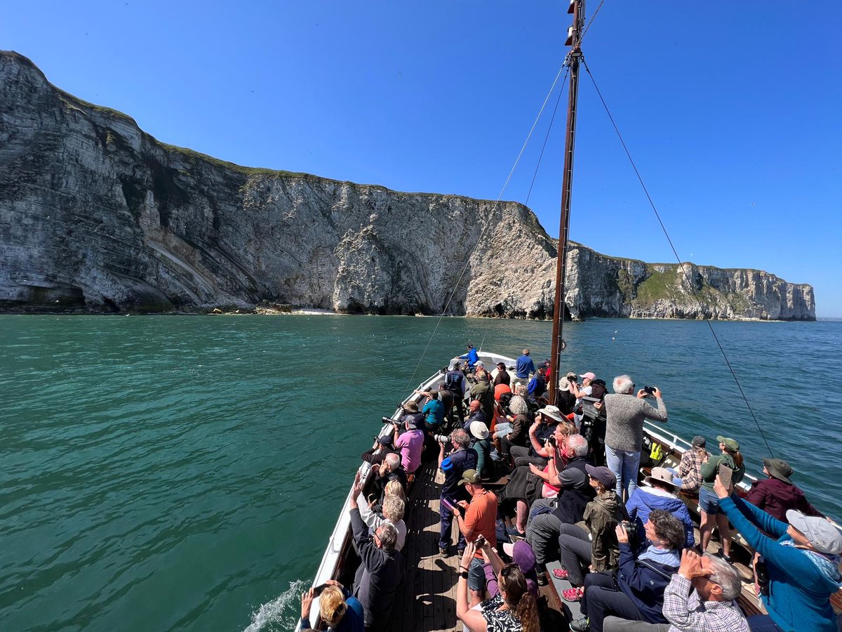 Fancy taking in the sights and sounds of the cliffs from below? Our Puffin and Gannet cruises are selling fast. To make sure you don't miss out follow the link rb.gy/3r6plm 🌊🚢