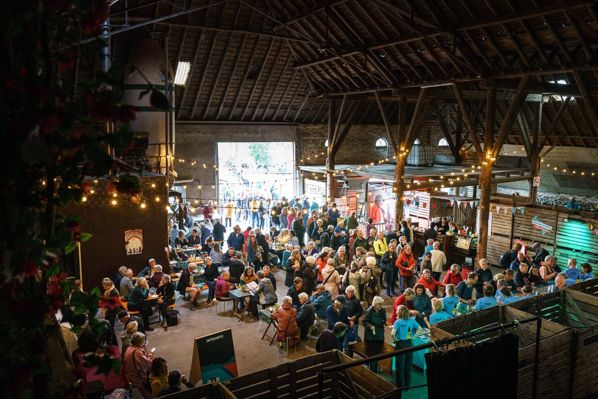 Terug naar het begin tweet media