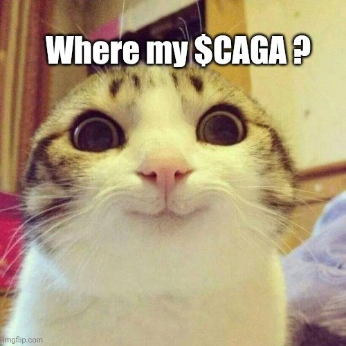 Is there my $CAGA?
<a href="/_cagacrypto/">CAGA CRYPTO</a> 
<a href="/RKuniania/">Rapa Kuniania</a> 
<a href="/SutiminLong/">Sutimin Long ⚡️Joltify</a>