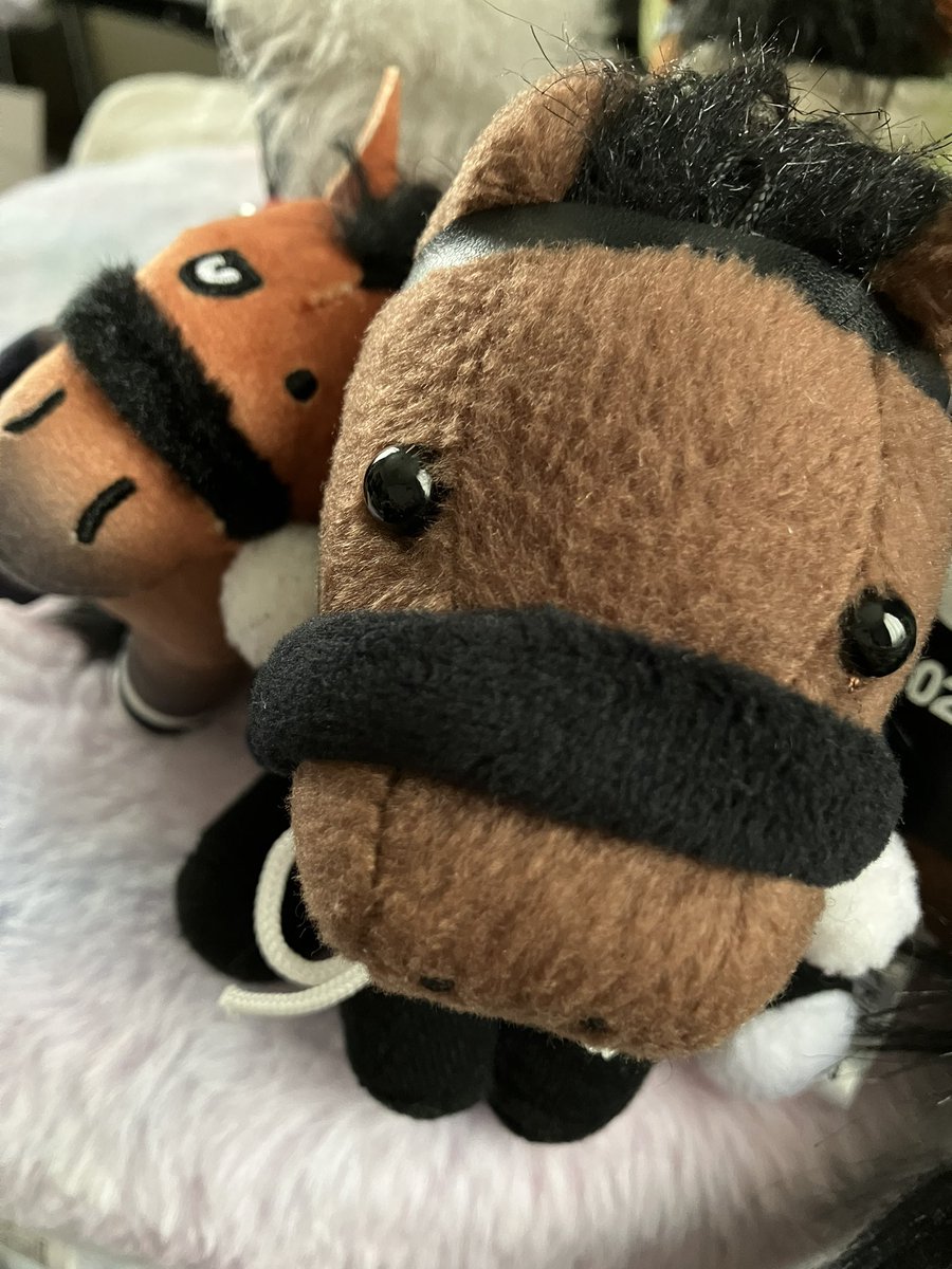 ダノンデサイルくん、ダービー馬になったからたぶんアイドルホース