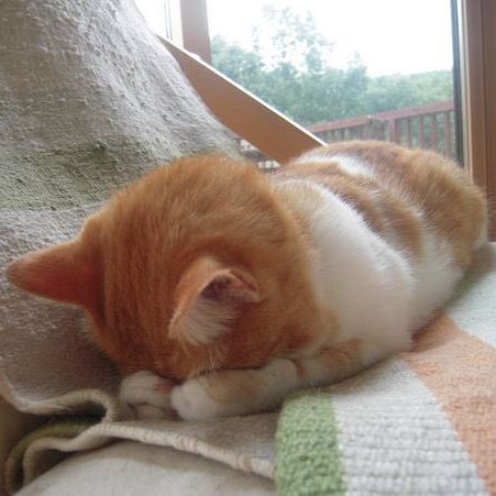 ㅜㅜ몬살겟다증말