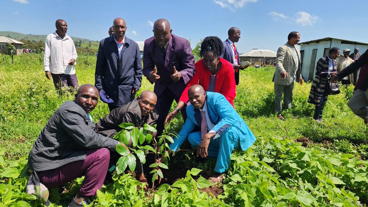OgiekPeoples's tweet photo. Members of the Ogiek council of elders planting a tree at Nessuit Primary to mark the 7th anniversary of the commemoration of the Ogiek land ruling of 26th May,2017. https://t.co/u0cWDmBWqf