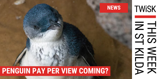 New Penguin partners set for new St Kilda Pier. 
Phillip Island Nature Parks, the operator of the famed Phillip Island Penguin Parade, is to have a role at the new St Kilda Pier. Fee to view is likely. #penguins #stkilda #TWiSK
gdaystkilda.com.au/new-penguin-pa…