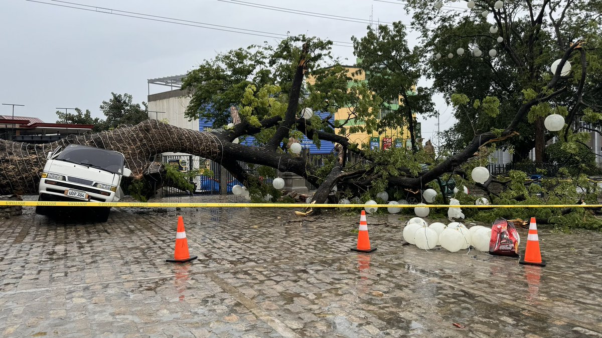 iamKatrinaSon's tweet photo. Historic Acacia Tree at Minor Basilica and Parish of St. John the Baptist in Taytay, Rizal falls landing on two parked vehicles. https://t.co/ShDefO4pqf