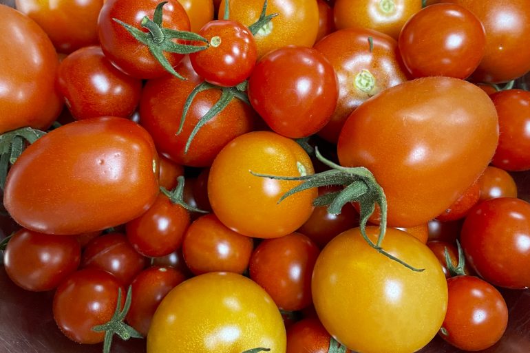 #britishtomatofortnight2024
British Tomato Fortnight is a celebration that highlights the exceptional quality and flavours of homegrown tomatoes. It aims to raise awareness about the importance of supporting local farmers and enjoying  homegrown tomatoes
womentalking.co.uk/tomato-heaven-…