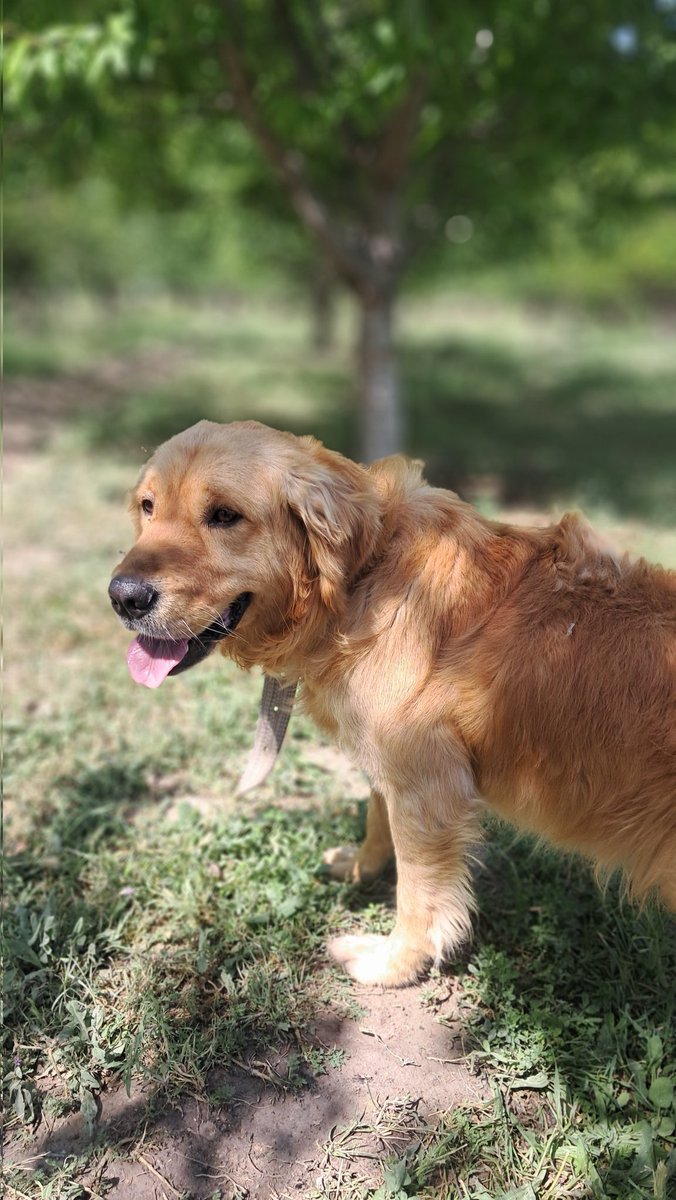 Onur Özgüleç51 (@onurzgle1) on Twitter photo 