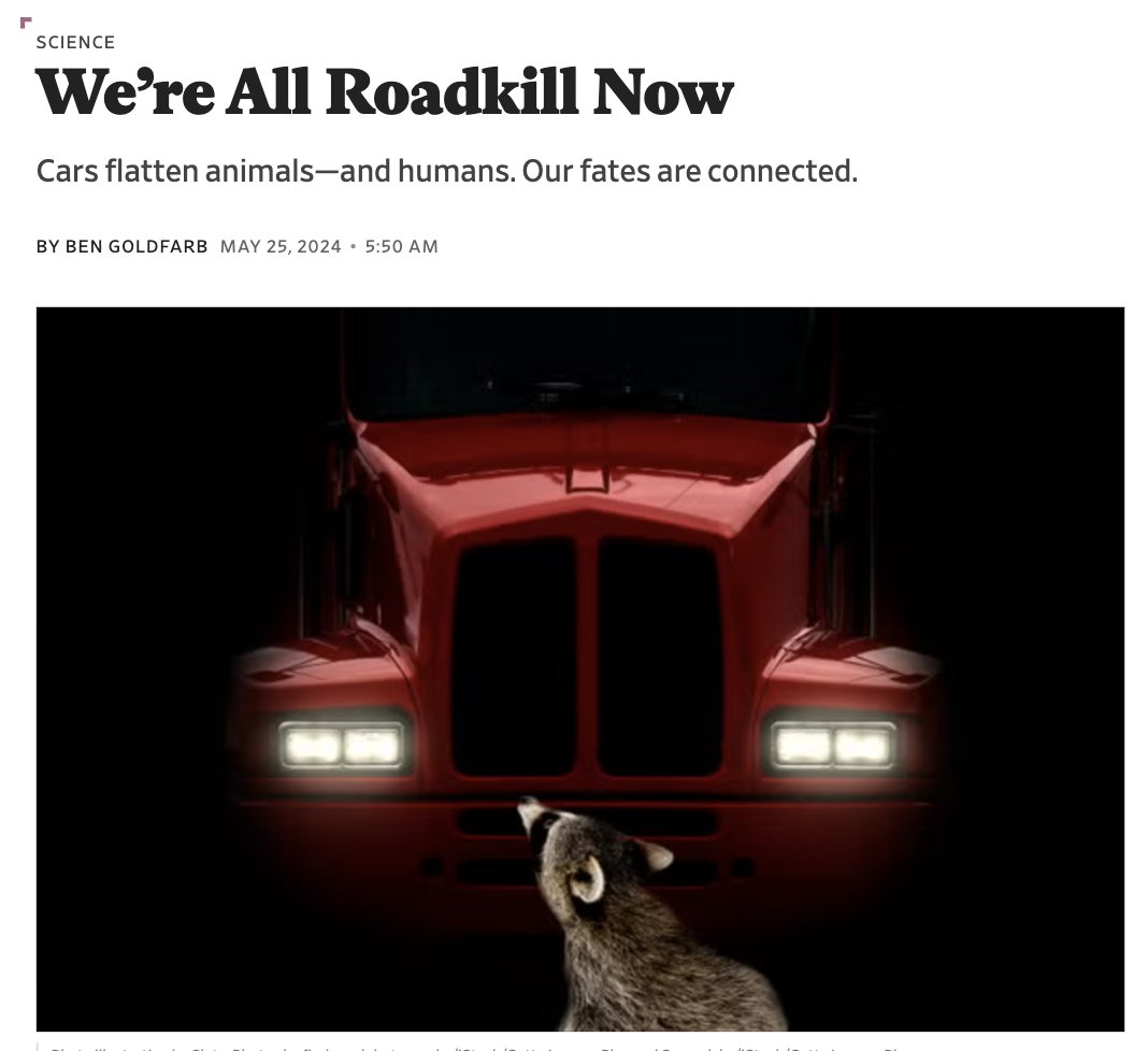 .@ben_a_goldfarb: 'Mammals are four times likelier to die on roads these days than they were in the 1960s. In the Sixth Extinction, the asteroid is an F-150.' slate.com/technology/202…