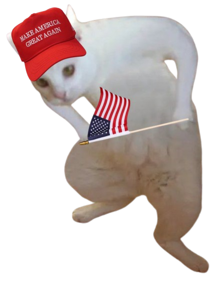 Goofy Cat tweet media