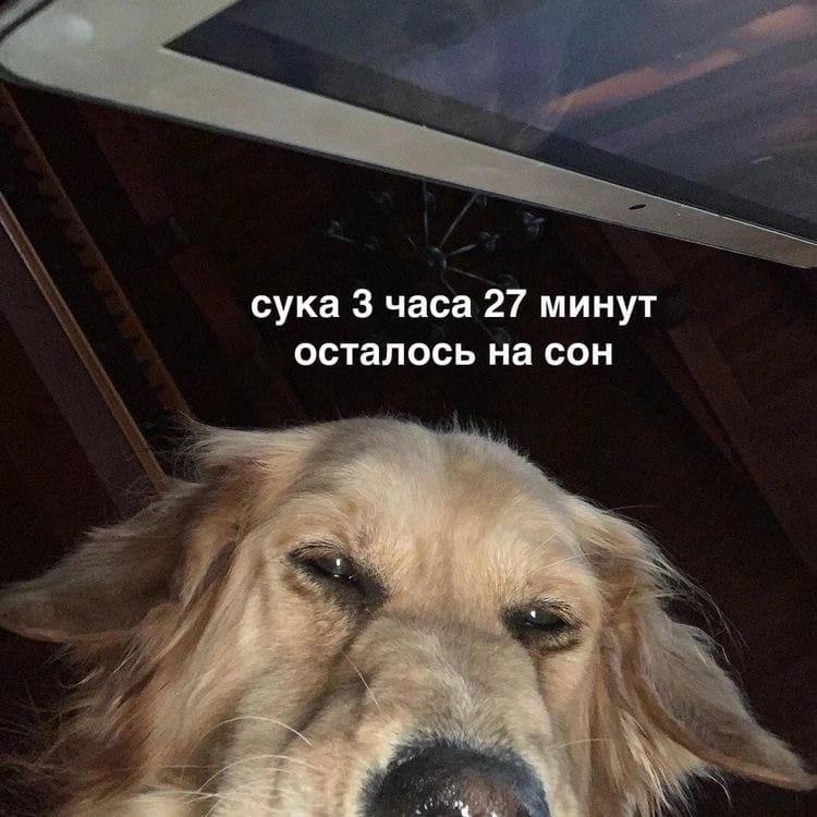 fuck I have 3 hours and 27 minutes left to sleep