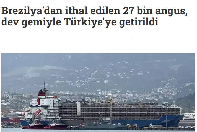Bu topraklarda bundan 11,000 yıl öncesine, 
Neolitik Çağ zamanında yetiştirilen büyükbaşlar...
2024 yılı AKP iktidarında yetiştirilemiyor!