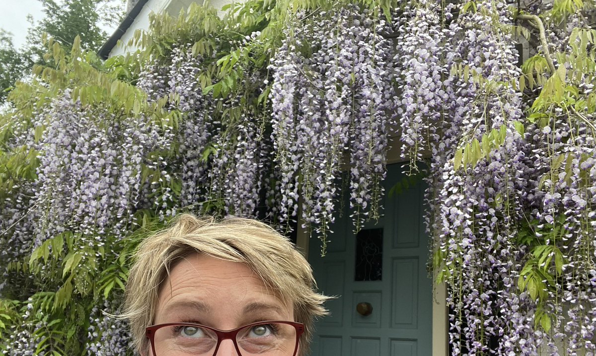 My #wisteria has reached its teenage years - Mid-fade-long-fringe hair, only comes out once a year, and will soon leave all its bits on the floor for mammy to pick up. Love it 😍