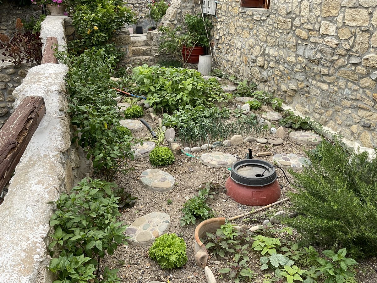 Garden is coming along. I'm eating piles Vlita at the moment - that green stuff in the middle. It's a bit like a mild spinach.