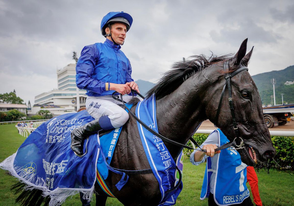 Globetrotting star! 🔥

📸 <a href="/A_Evers/">Evers</a> | <a href="/godolphin/">Godolphin</a> | #HKracing