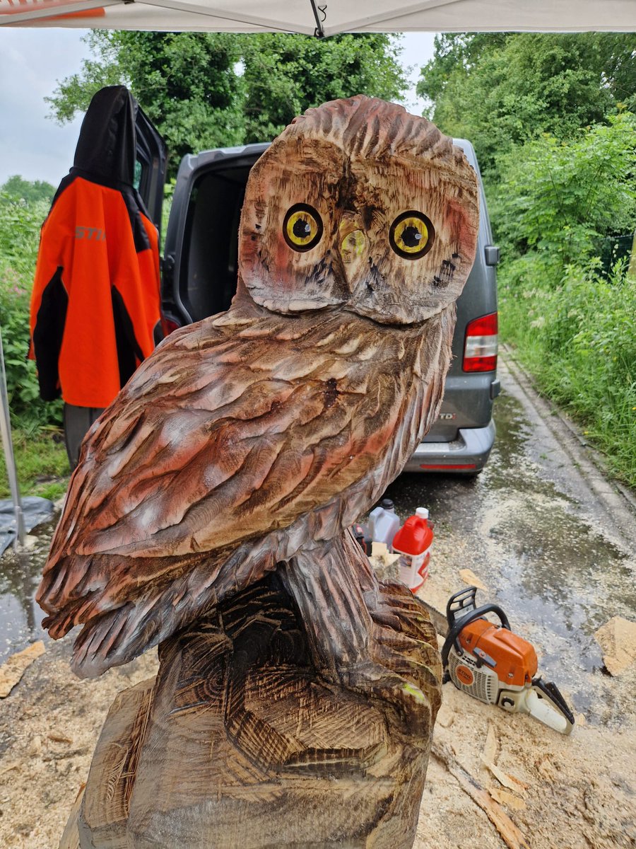 #Veiling 
Delen=❤️
Dit fantastische #houtzaagwerk gemaakt door Roelof van #www.woodcarving.nl.
Deze mooie #steenuil (1.50m hoog) wordt geveild en gaat op 1 juni a.s. naar de hoogste #bieder.
Bieden kan tot 1 juni a.s. 12:00 via info@defugelhelling.nl
Bieden vanaf €150,00