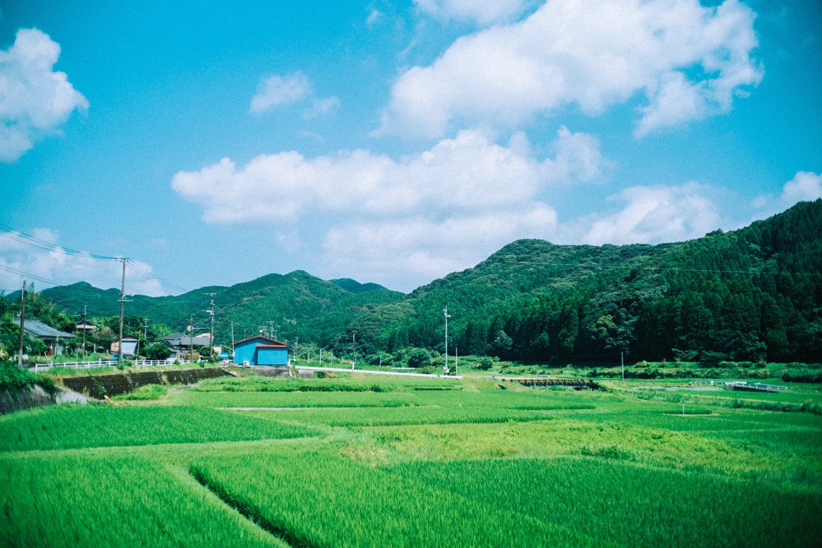 夏へ続く道。