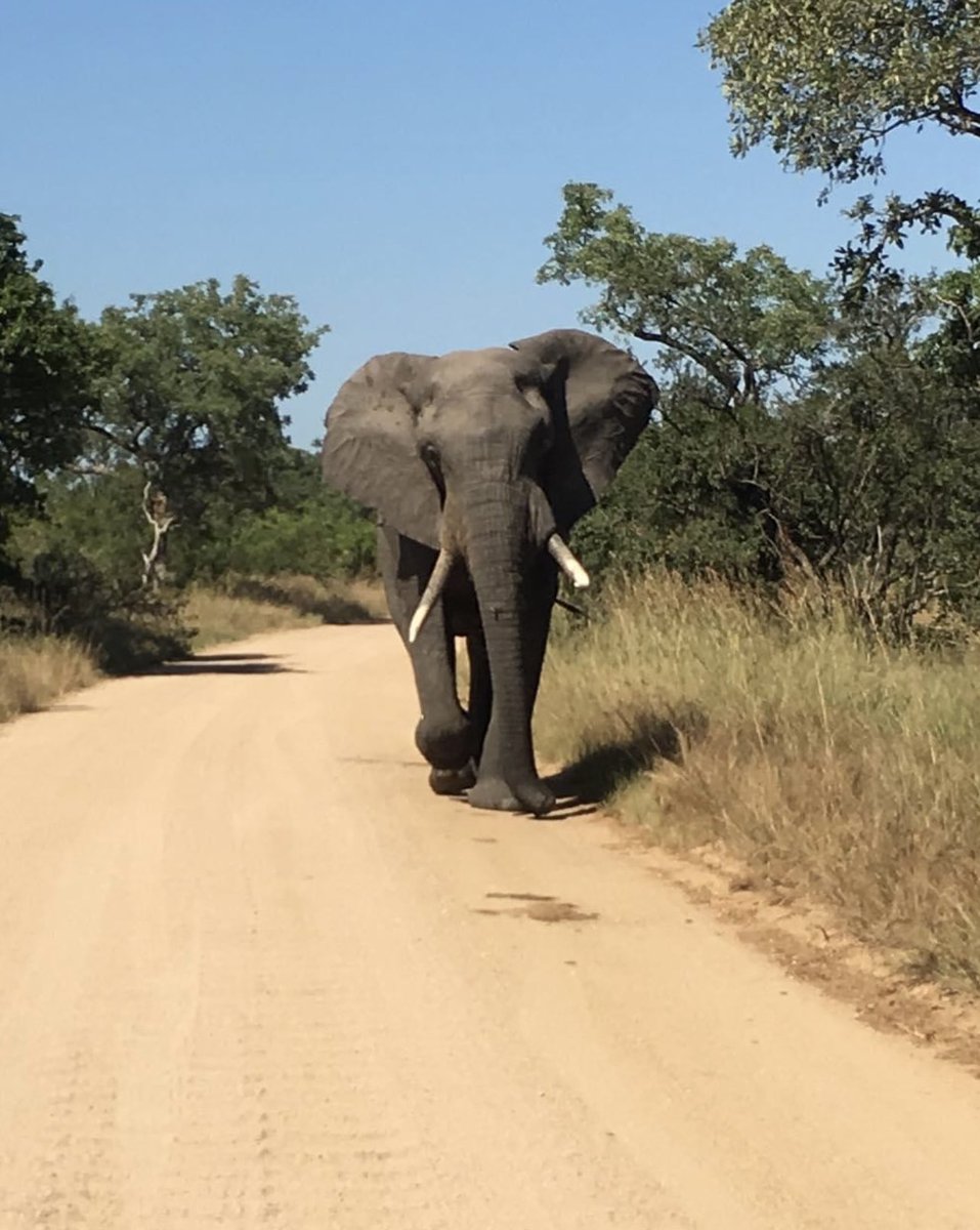 Either me or him must give way…I already know how this will end up..if I post in the next few minutes,it means he gave me right of way😁😁😁😁
#Myoffice
📍KNP