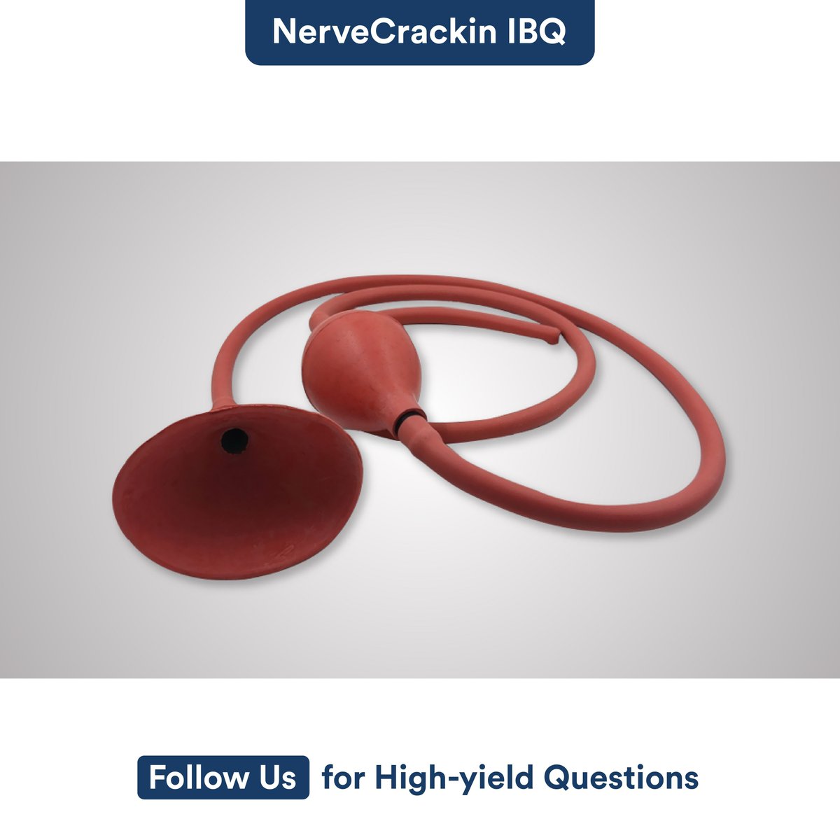 Which function corresponds to the following tube? 

A. Barium enema
B. Soap water enema
C. Nasogastric feeding
D. Gastric lavage

#DigiNerve #IBQ #NerveCrackin #QuizTime #Bariumenema #Soapwaterenema #Nasogastricfeeding #Gastriclavage #Function #Tube #MedicalImaging #PracticeMCQ