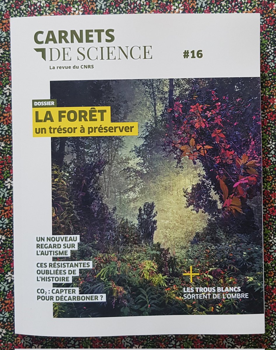EkoLogIt's tweet photo. 🧵 Fil ⬇️ Belle surprise dans ma boîte aux lettres 😍 Merci à Laure Cailloce @CNRS pour ce numéro de #CarnetsDeScience sur les #forêts 🌲🌳🌴 De nombreux articles très bien rédigés par toute la rédaction & de magnifiques illustrations 🤩 A lire absolument
⬇️ Dispo en kiosque ⬇️ https://t.co/DqshzyDqnc