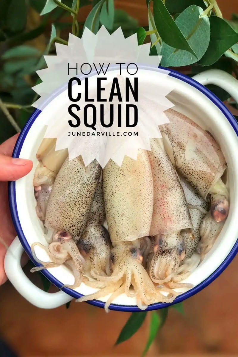 🦑 𝐇𝐨𝐰 𝐓𝐨 𝐂𝐥𝐞𝐚𝐧 𝐒𝐪𝐮𝐢𝐝 🦑 Do you know how to clean squid the right way? Here is how in 10 simple steps, with pictures! #squid 🦑 𝐑𝐞𝐚𝐝 𝐦𝐨𝐫𝐞 >> junedarville.com/how-to-clean-s…