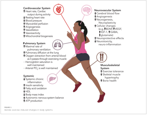 Carmen de Pablo Zarzosa tweet media