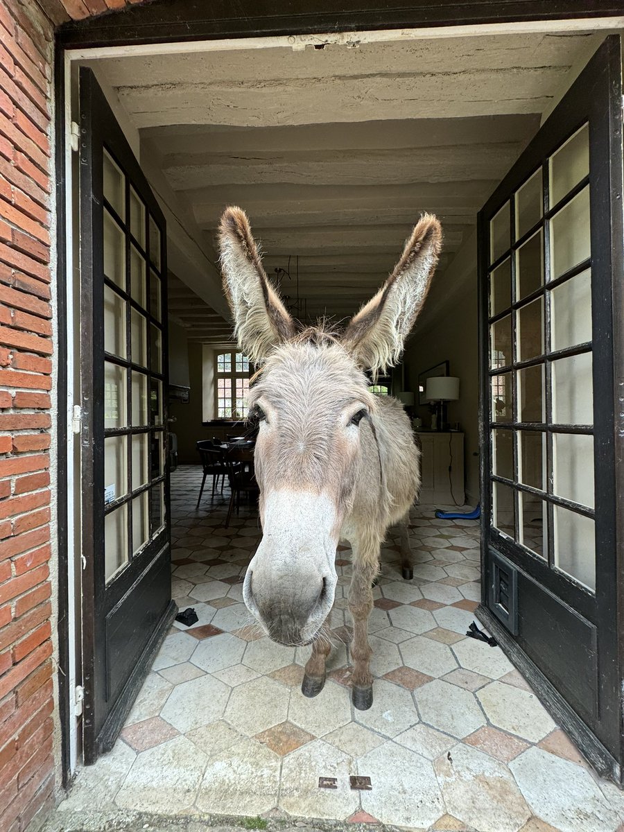 pierreniney's tweet photo. « Welcome home » https://t.co/VnaCbG0EFt