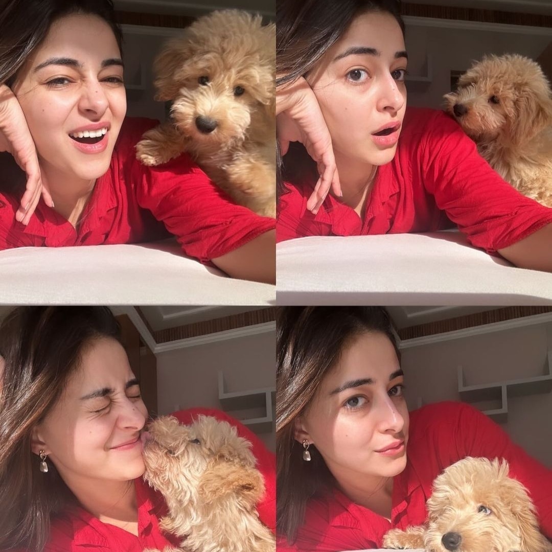 Adorable!🐾

#AnanyaPanday shares pics with her pet, Riot.