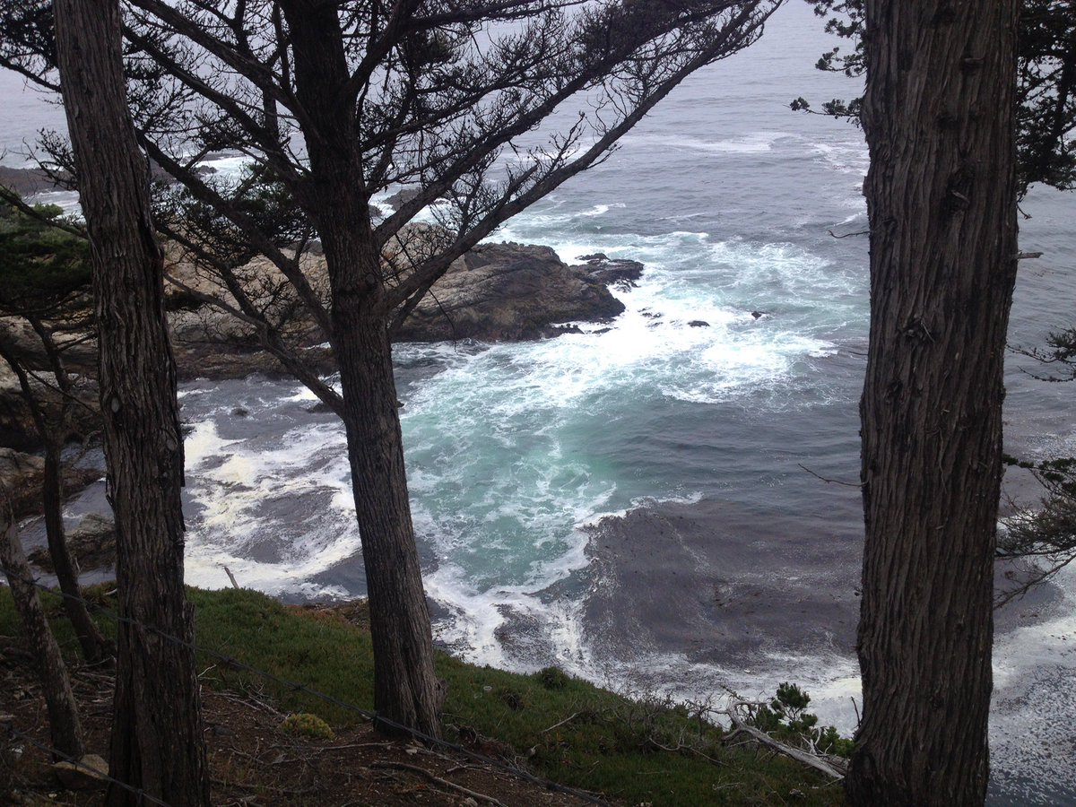 #BigSur !