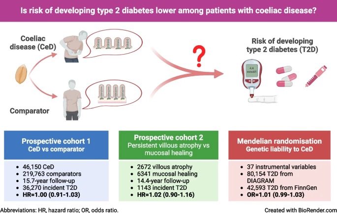 Celiac disease & Type 2 diabetes risk: Mendelian randomisation study.

Study: 46,150 people with Celiac Disease and 219,763 without, tracked for 52 years.

No ↑ risk of Type 2 DM in people with Coeliac Disease. Genetic analysis supported this finding.

▶️ link.springer.com/article/10.100…