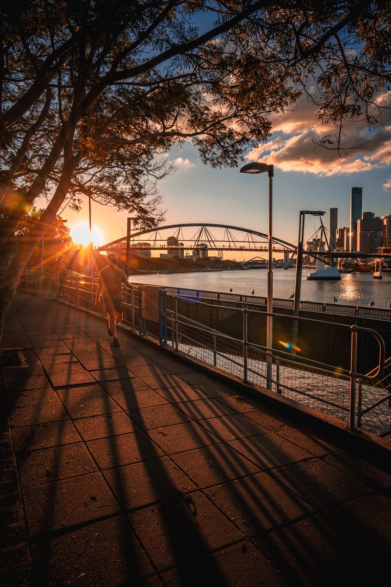 Bathed in the golden hues of a Brisbane sunset.

#brisbane #queensland #australia #sunsetvibes #goldenhour #travelwithme