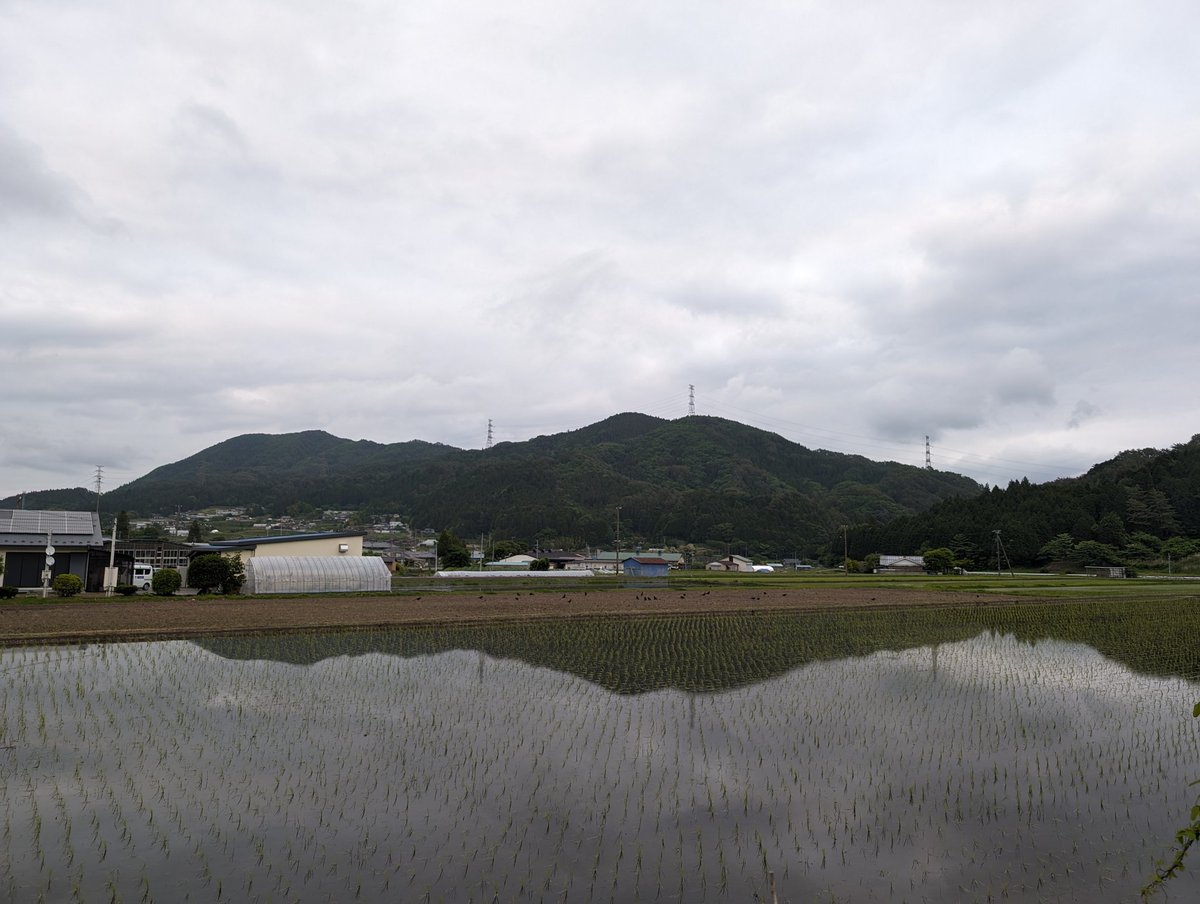 本日の営業終了しました( ﾟ∀ ﾟ)
現在の気温 １７度
現在の天気 くもり
こんな明るい時間にお仕事終われるのは久しぶりの気が( ´ཫ` )
あと一日頑張ったらお休みなんだけど午後から地元中学のキャリアフェスに参加なのでお仕事の黒さを懇々と説明させていただきます(  ◜ᴗ◝  )暗黒微笑